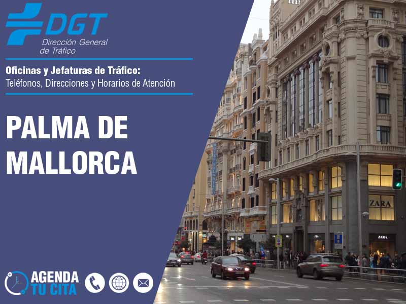 Oficinas de la DGT en Palma de Mallorca - Telfonos, Direcciones y Horarios de Atencin