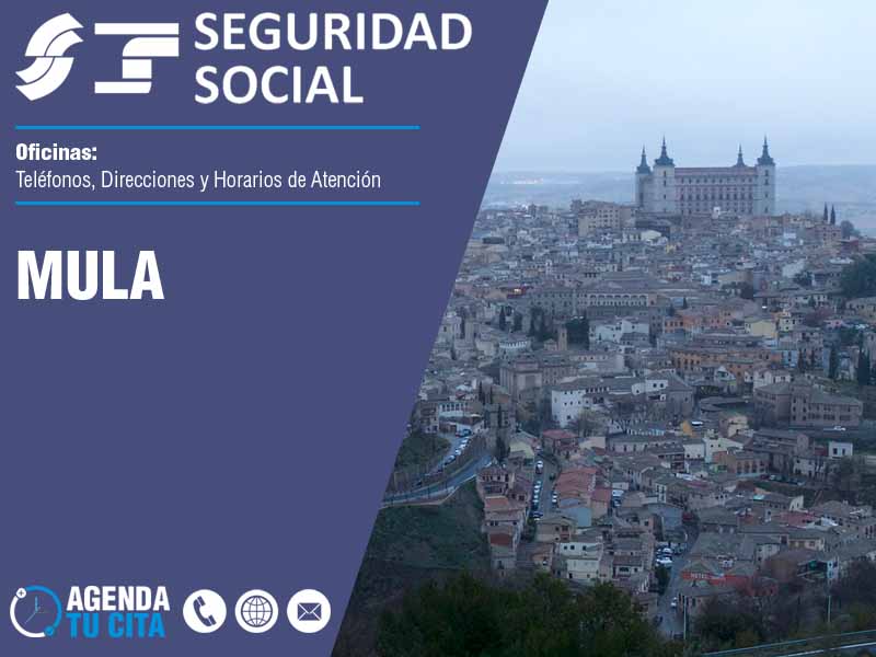 Oficinas de la Seguridad Social en Mula - Telfonos, Direcciones y Horarios